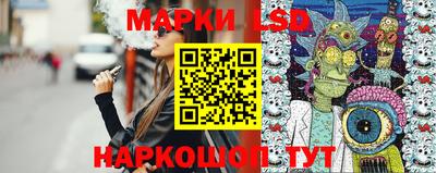 шишки Кандалакша
