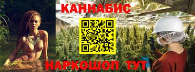 шишки Кандалакша