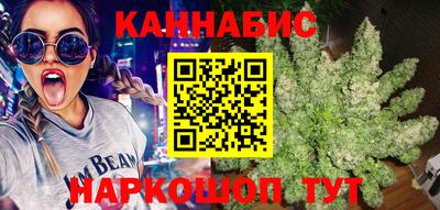 шишки Кандалакша
