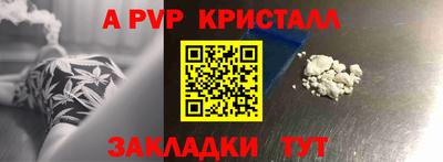 шишки Кандалакша