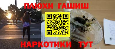 шишки Кандалакша