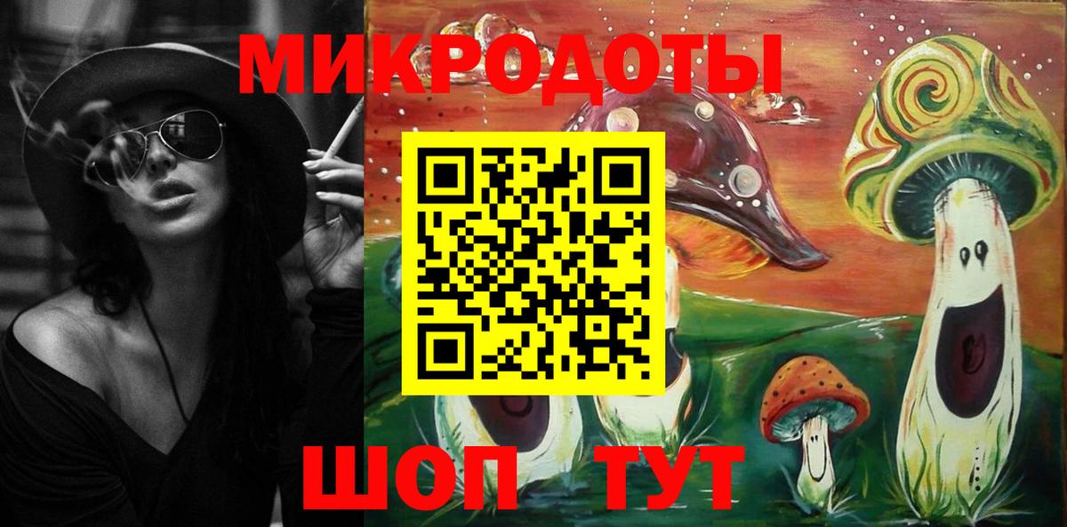 Псилоцибиновые грибы Psilocybe Дедовск
