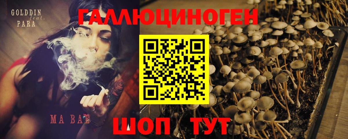 Дедовск  продажа наркотиков  Вход с VPN  Псилоцибиновые грибы Psilocybe 